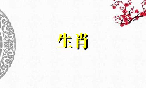 96年女97年男的婚姻好吗视频