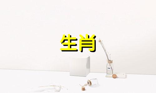 99属兔男人最佳妻子是谁 99兔男孩最佳配偶表