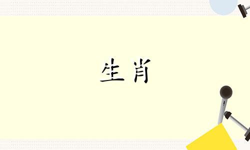 2007年出生的猪宝宝是什么命