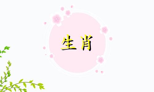 男龙女蛇八字合吗婚姻好吗