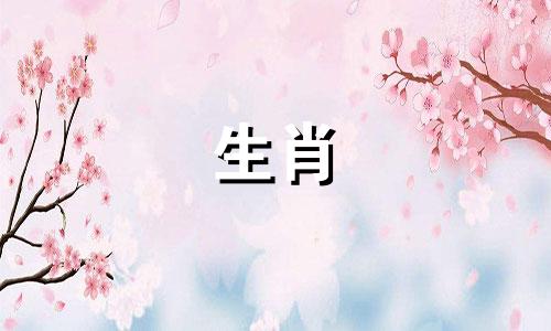 属鸡的命是一等命2017年属鸡