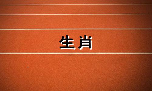 龙的最佳三个贵人属相 狗的最佳三个贵人属相1974年出生