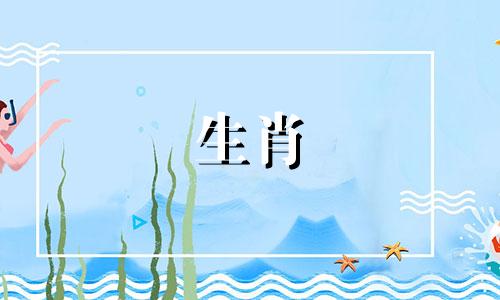 对龙最好的生肖是猴还是蛇