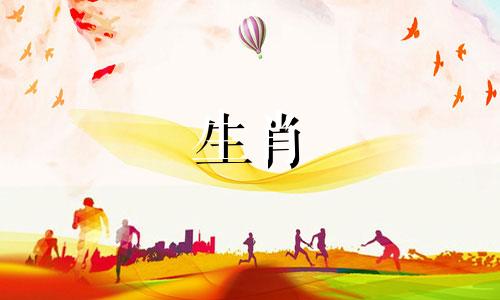 2023年是属什么年生肖属相