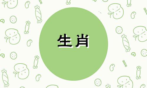 2026年属狗人的全年运势详解