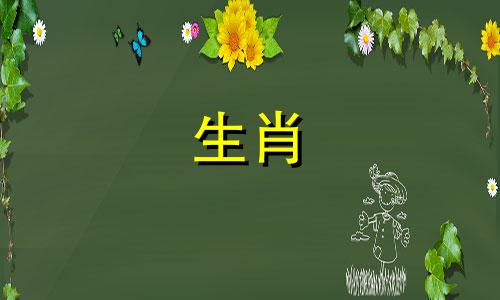2026属马的运势和财运1978