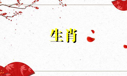 属猪人永久吉利的颜色有哪些?