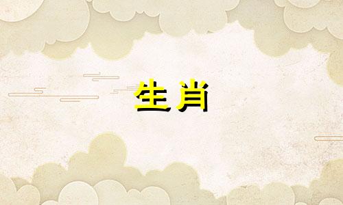 2026属鼠的运势和财运怎么样