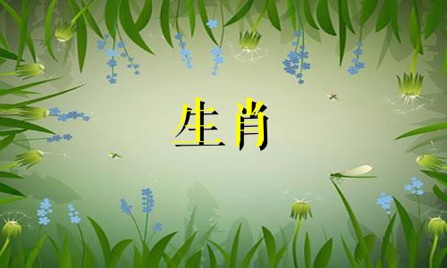 属猪人今年和哪些属相合作好呢