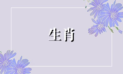 最会看透人心的生肖女生 看透人心的动物