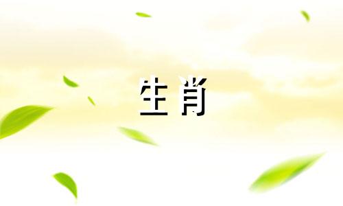 属猪跟什么属相合伙最好呢
