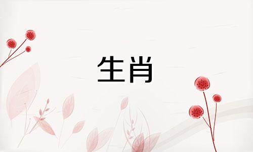 属猪和什么属相合作最旺财运