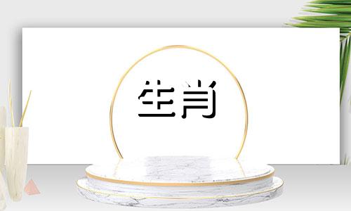 属龙人带什么水晶好呢 属龙佩戴什么水晶手串好呢