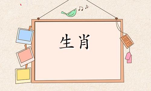 属蛇的枕头什么颜色好 属蛇的睡觉头向哪个方向好