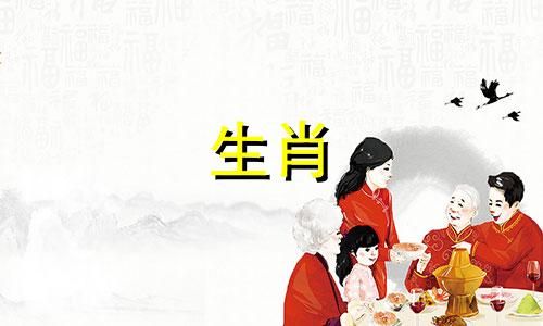 属猪和属羊和属虎合作好吗女孩