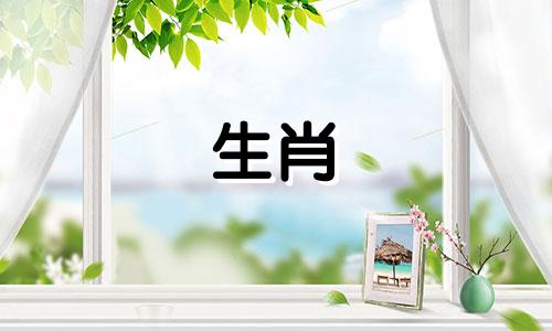 惹到属鼠女的下场怎么样了