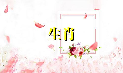 为什么娶妻不娶属马女 2025年谁心疼属马人