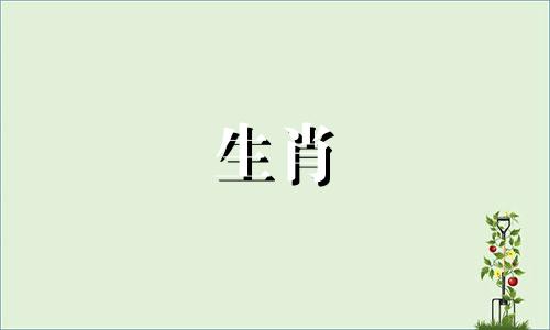 属猪的人适合戴玉镯吗女 属猪的人戴玉好吗