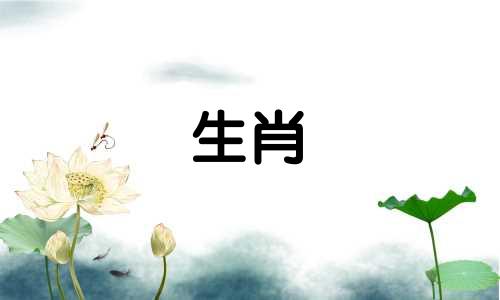 三月属狗的命运如何呢 3月出生属狗的一生命运如何