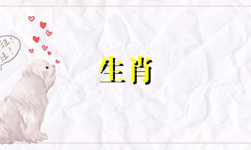 属猴戴玛瑙好还是水晶好呢