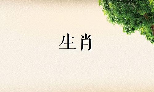 虎女2026年有添子之喜吗为什么