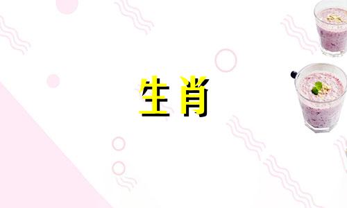 属蛇的人跟什么属相合作最好呢