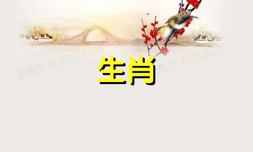男狗女鼠婚姻最终结局怎么样