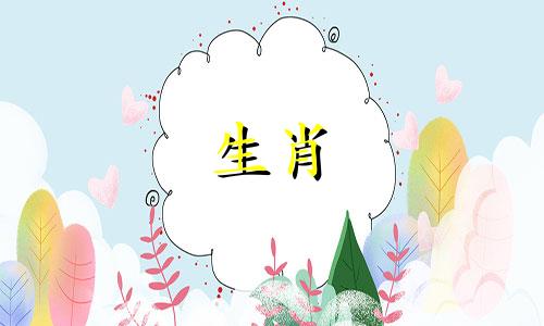 1995年男猪和1998年女虎相配吗