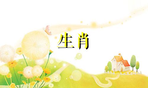 1995年8月的猪是什么命运