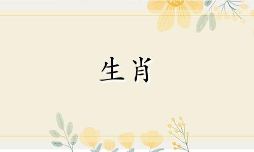 95年属猪男8月出生好不好呢