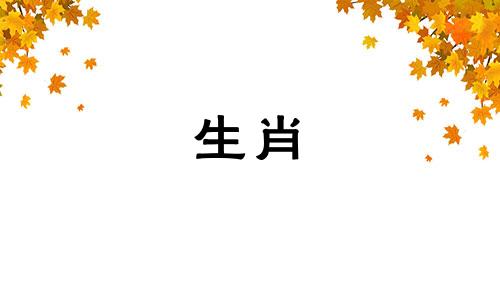 生肖鼠和什么属相合财运 生肖鼠和什么合得来