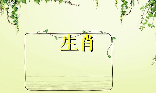 95年九月的猪是苦命还是富命