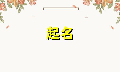 猫咪起名方法有哪些字体