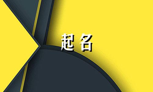 项目软件起名公司有哪些