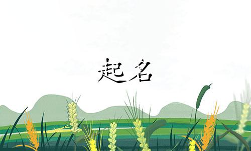 智能起名软件游戏有哪些