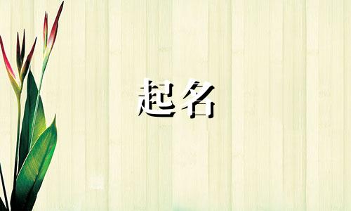 餐饮起名谐音字有哪些