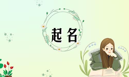 起名参考的书籍有哪些