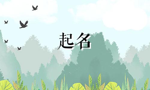 黑猫起名叠词有哪些字