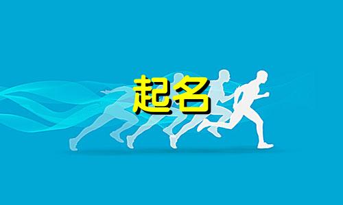 单词起名算法有哪些类型
