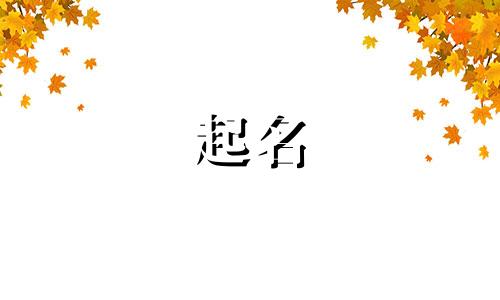 常见事物起名有哪些字