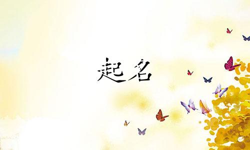 哪些形式起名要注意谐音