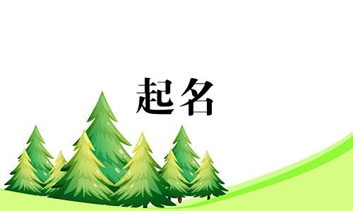 财税公司起名软件有哪些