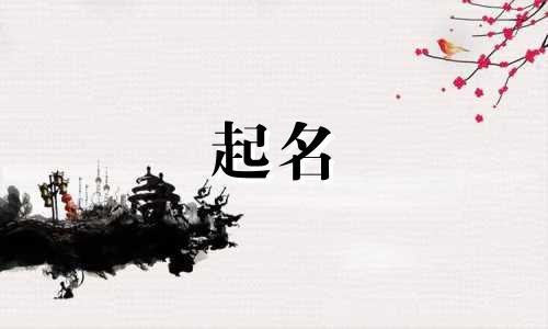 起名虎宝宝明星有哪些