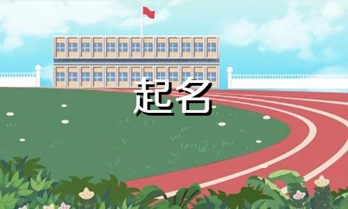 狗年宝宝起名偏旁有哪些