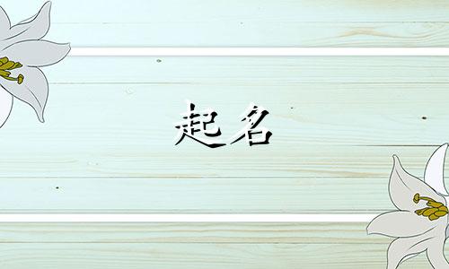 环保的诗句起名有哪些