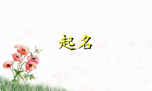 类似小米的起名有哪些