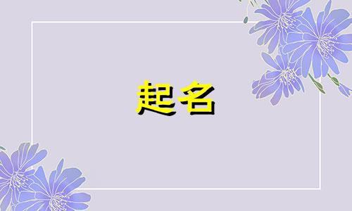 家谱起名原则有哪些书名