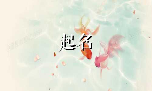 公司起名小字有哪些好