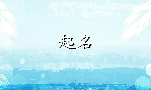 起名常用动词有哪些词语