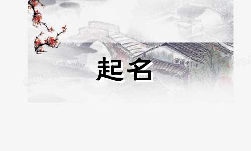 网络起名大赛有哪些奖项